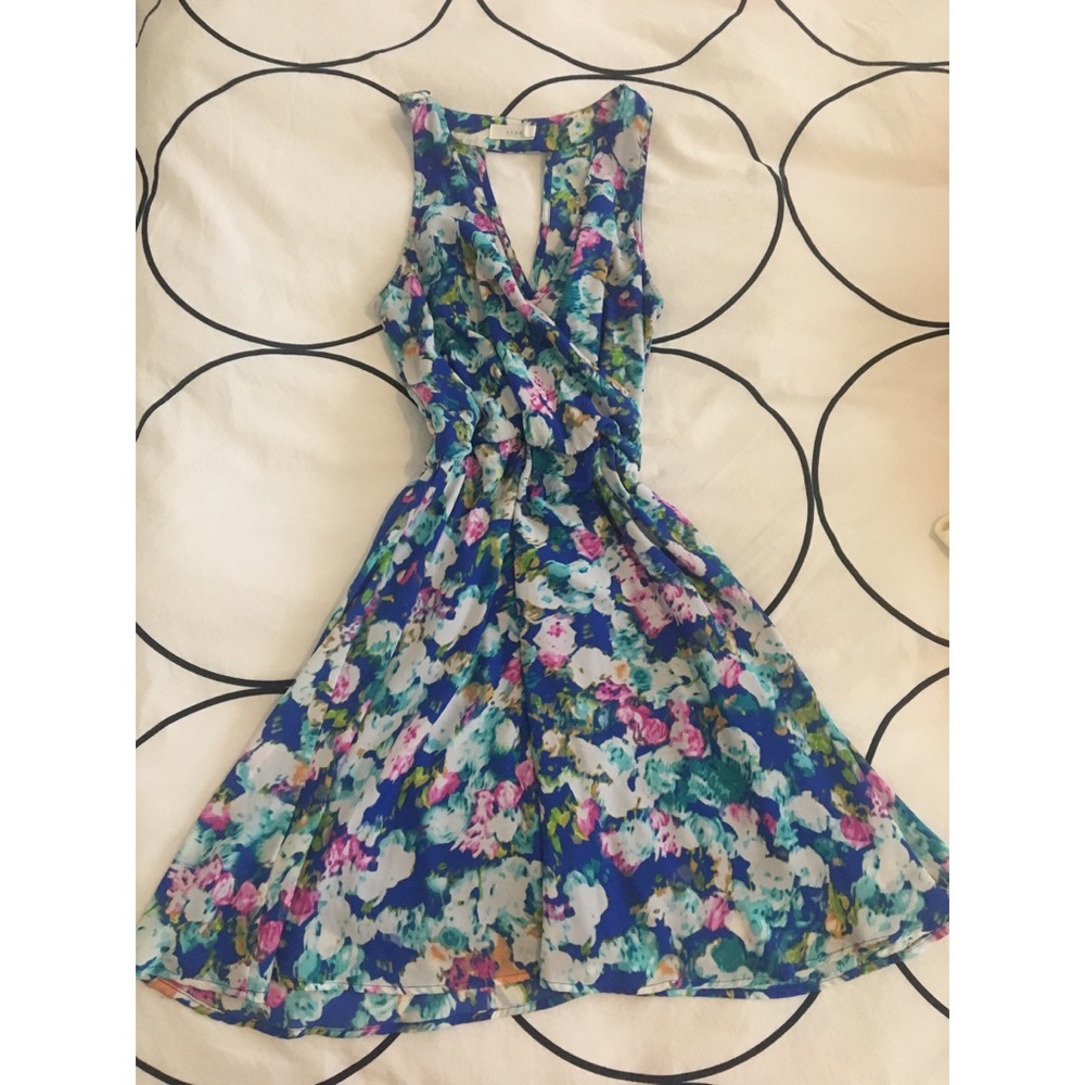 Lush Skater Dress